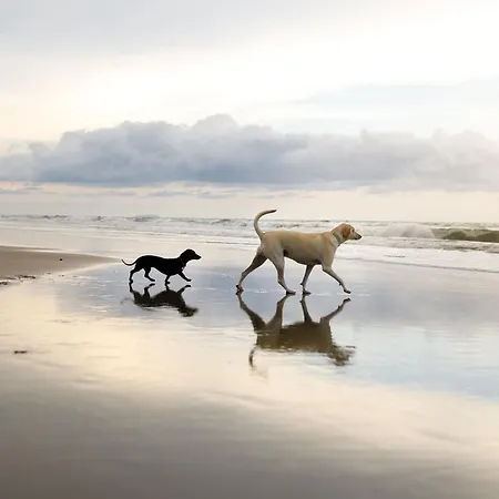 Sunsets And Sandcastles - Part Of The The Bay Village With Pool, Gym And Direct Access, Pub, Restaurant, Tennis And Meadows Walks Semesterbostad Filey